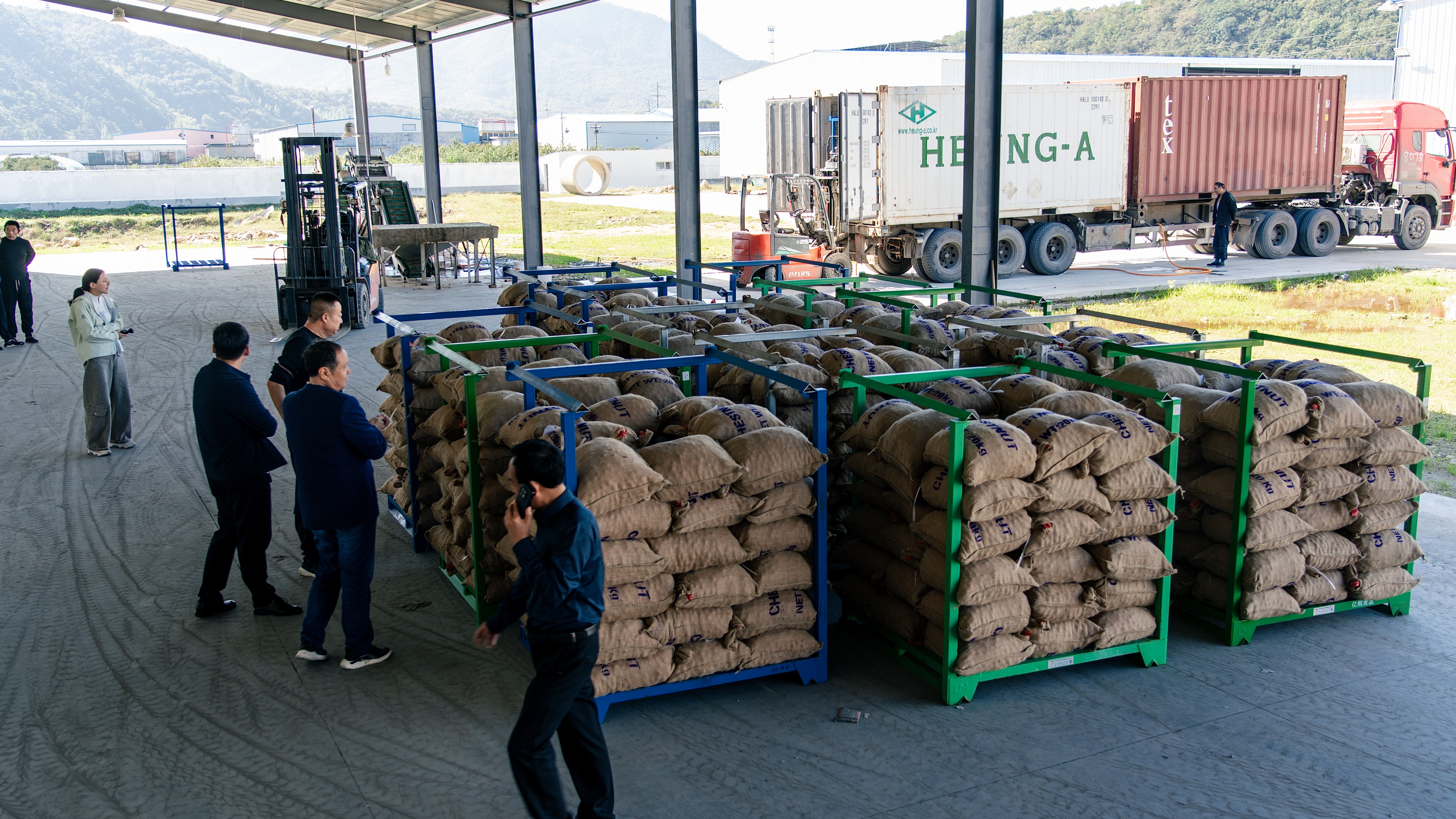 首页关于我们背景